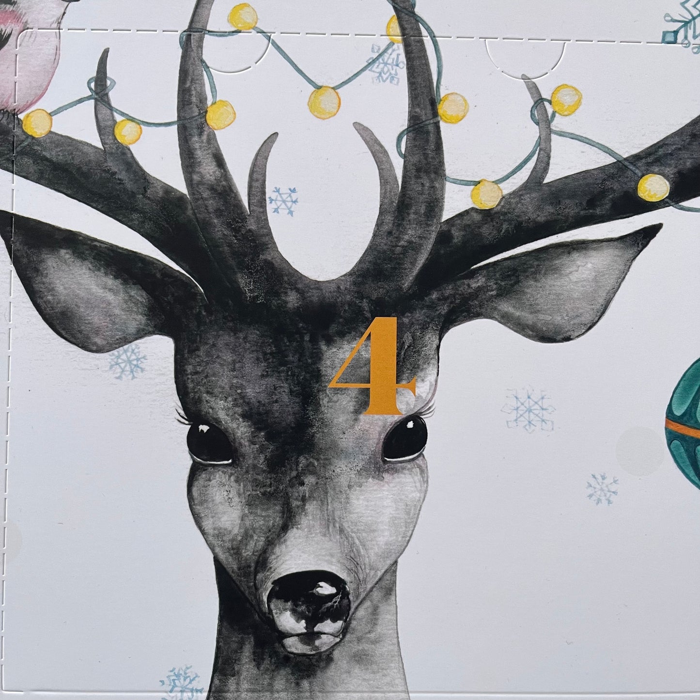 PRE SALE - Adventskalender